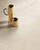APPIA CROSS CUT BEIGE MATTE 24" X 48" - Tile -  ELYSIUM TILES INC