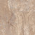 PARAGON PLUS TILE 12" X 24"