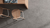 URBAN CONCRETE MATTE 12X24