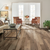 Hickory Natures Canvas Silver Random