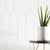 PALOMA MATTE PICKET 3" X 12" - Tile -  Arizona Tile