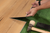 Longboard Dana Landing Extra Wide 9" x 71"