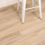 Trestles Wide 8" x 48"