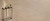 Hickory Zen 8" (7' Lengths)