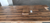 Oak Wire Brushed 5"