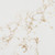 Strato close-up