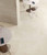 APPIA CROSS CUT IVORY MATTE 24" X 48" - Tile -  ELYSIUM TILES INC