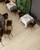 APPIA VEIN CUT BEIGE POLISHED 12" X 24" - Tile -  ELYSIUM TILES INC