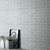 Ornami Gloss Offset Mosaic 2" x 6"