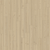 Divine Plank 6.5" x 60"