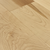 Vinland Maple