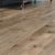 Iberian Hazelwood 6"