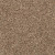 Classic Hues I Mystic Wood