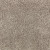 Elegant Appeal III Tomorrow's Taupe