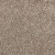 Elegant Appeal I Iron Rust