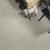 PACIFIC PINES (B) - Carpet -  SHAW INDUSTRIES, INC