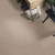 PACIFIC PINES (S) - Carpet -  SHAW INDUSTRIES, INC