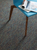Zing Carpet Tile 24" x 24"
