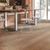 Hickory Sequoia
