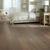 Oak Exploration 6.38"