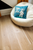 Coretec Premium HD Plank 7" x 48"