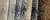 KING TIGER 13FT 2IN - Carpet -  STANTON CARPET CORPORATION