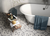 Design Evo Palazzo Ducale 8" x 8"