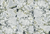 Marmo White Beauty