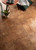 TERRE ETRUSCHE 16" X 16" - Tile -  TILESHOP INC