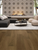 European Oak Regalia 8.66"