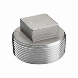 PLUG SQ HD THR SS 304 150 LB 2-1/2" (PS15-PG4SQT-02G-I)