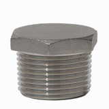 PLUG HEX HD THR SS 316 150 LB 1/4" (PS15-PG6HT-008-I)