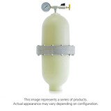 SENTRY PULSATION DAMPENER 2" FNPT 370 CU-IN POLY BODY PTFE BLADDER AUTO (BLA-A101TP-@)