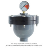 SENTRY PULSATION DAMPENER 2" FNPT 36 CU-IN POLY BODY SANTOPRENE BLADDER AUTO (BLA-A1305WP-@)