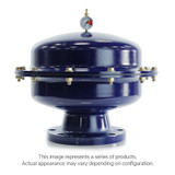 SENTRY PULSATION DAMPENER 3" 150# FLANGE 5 GAL POLY BODY PTFE BLADDER AUTO (BLA-AP4000T-@)