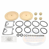 FLUID SECTION SERVICE KIT SANTOPRENE BALL/DIAPHRAGM (ARO-637303-AA)