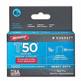 STAPLE T-50 3/8 " SS 1000 CT (ARR-506SS1-&)