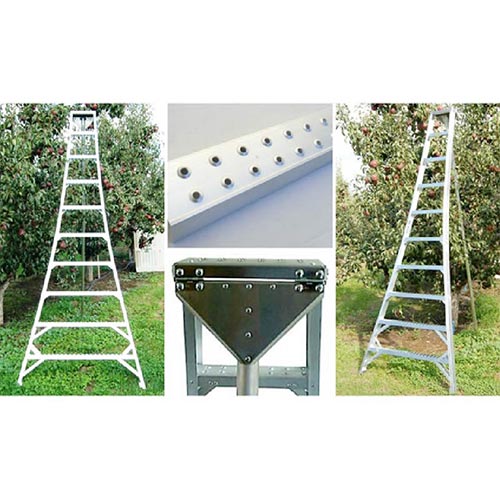 LADDER ORCHARD ALUMINUM 10 FT (ADL-AOL-10) - Ballard Industrial