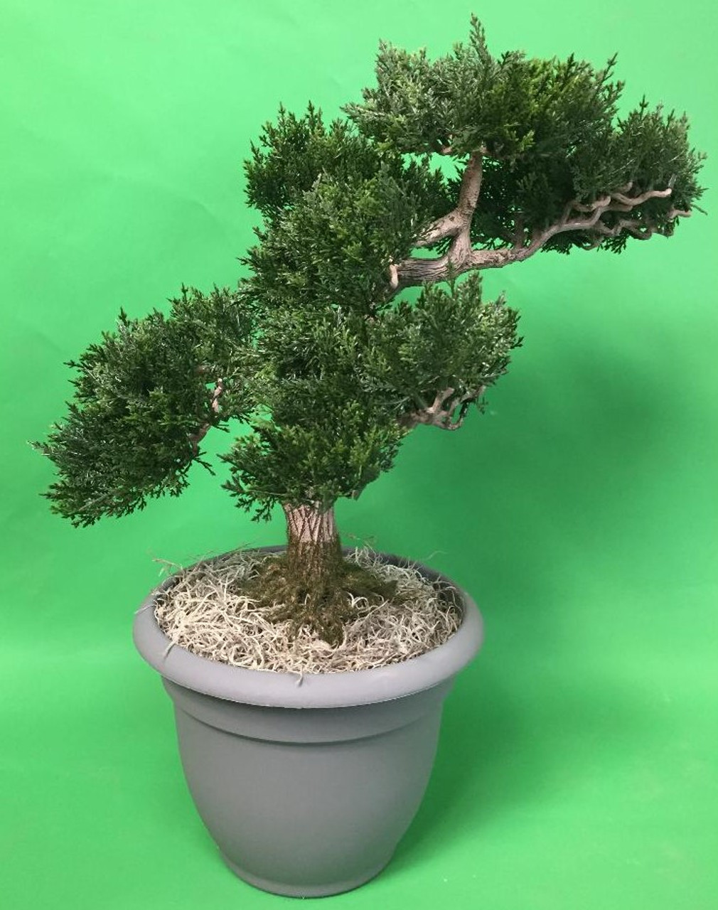 Realistic Artificial Bonsai Tree Online Silk Tree Warehouse