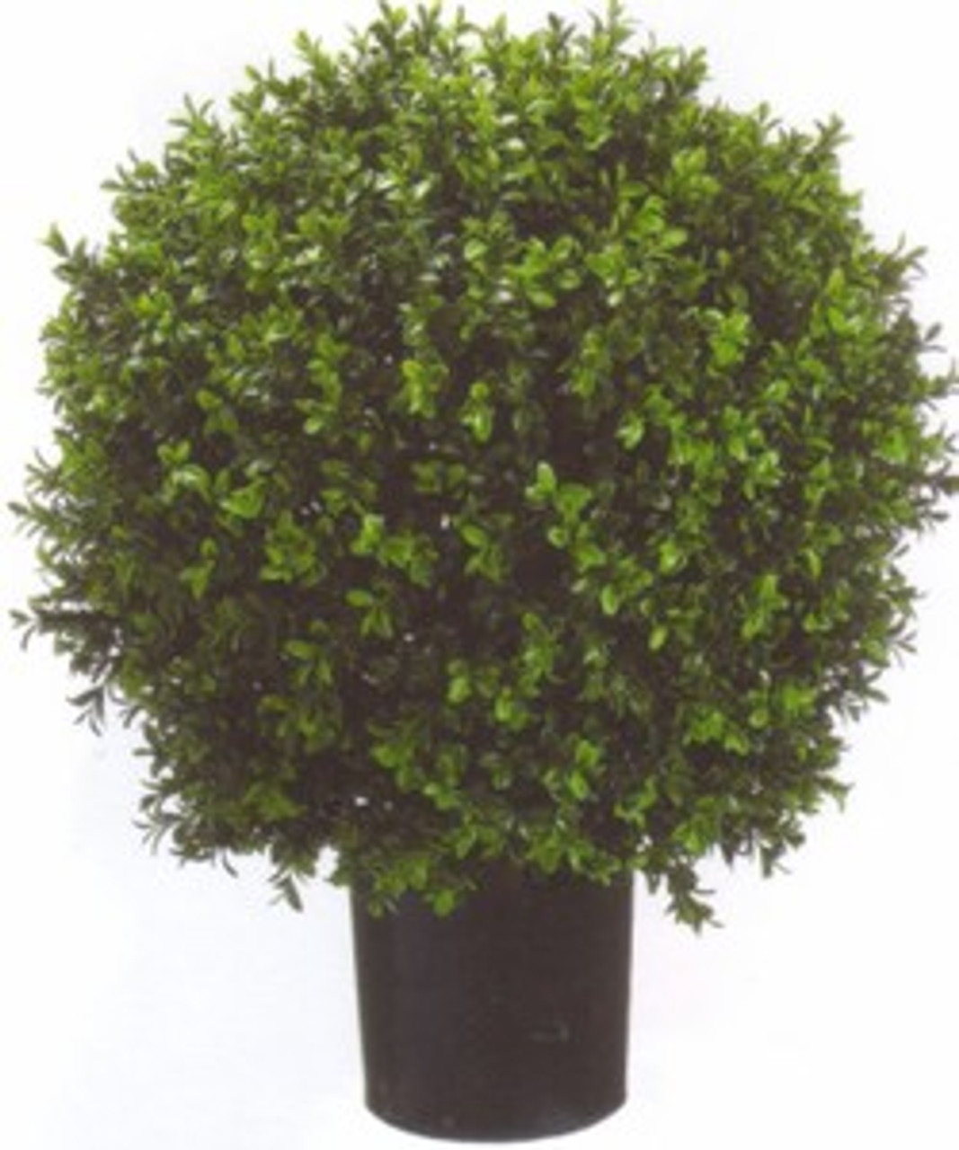 One 13 inch Outdoor Artificial Boxwood Long Leaf Topiary Ball and Lights bush 2 