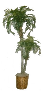 One 8' Artificial Double Trunk Pheonix Palm Tree In Basket Silk Tree