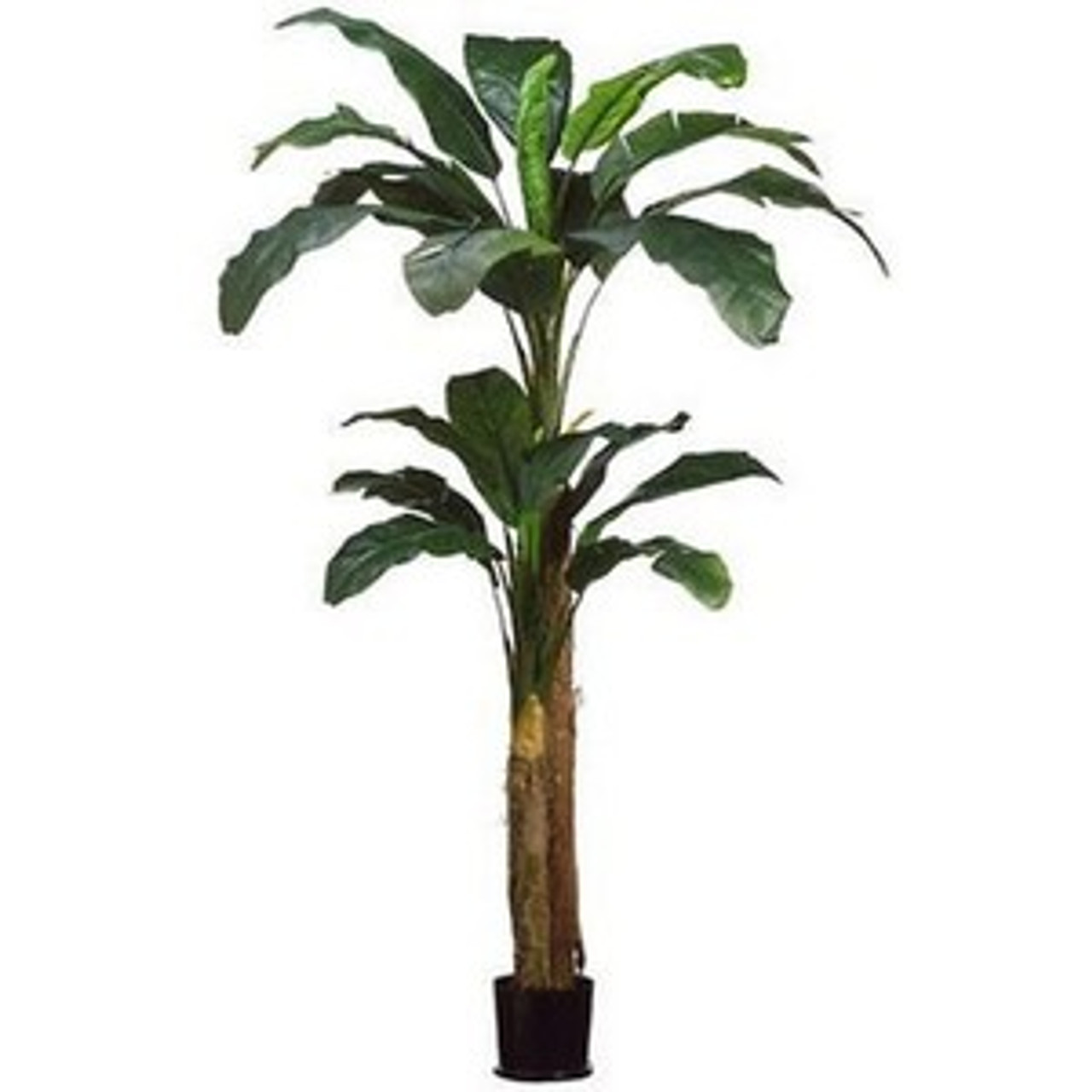 Silk Banana Palm Tree Potted Banana Tree Silk Tree Warehouse