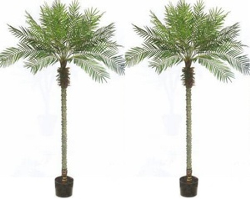 Two 8 Artificial Palm Trees Faux Phoenix Palms