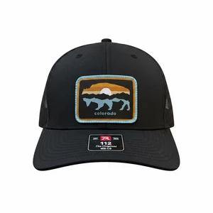 Mtn Inset Bison Cap