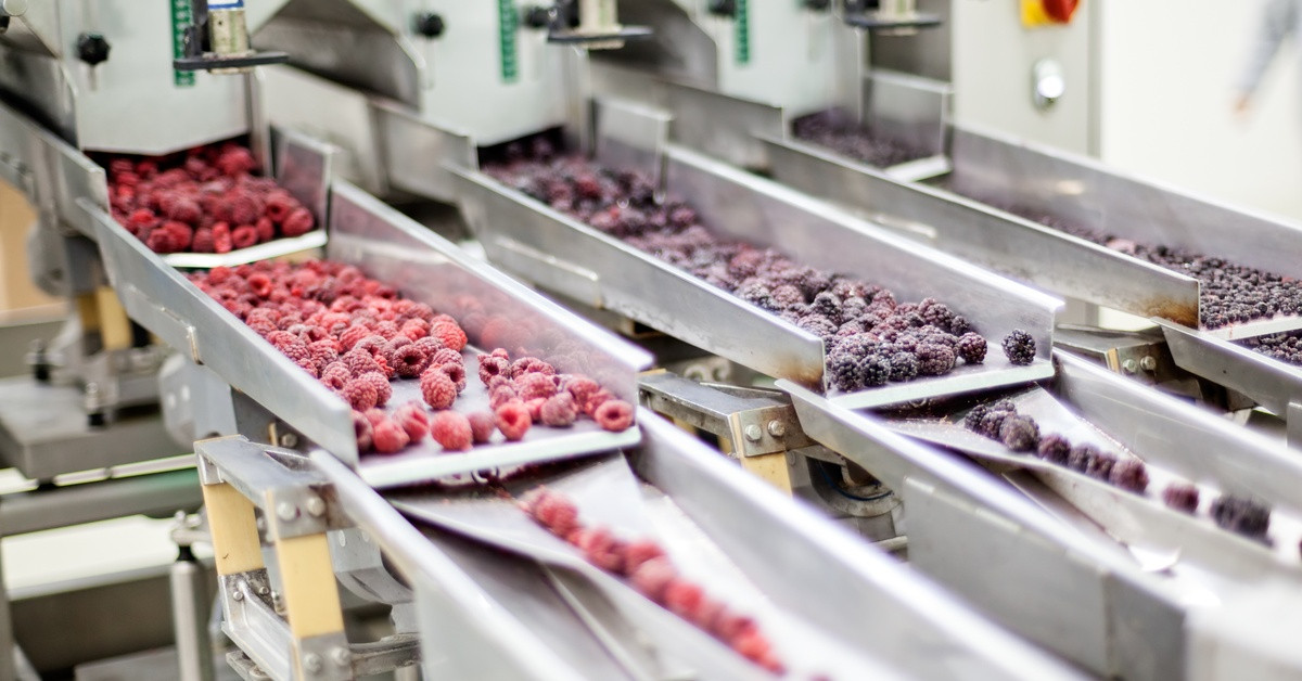 4 Gases Used in Maintaining Food Quality Safety thumbnail image