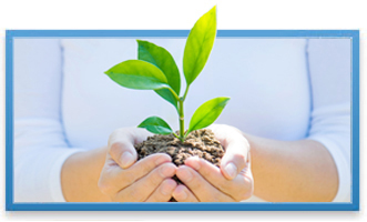 Environmental Gas Standards: