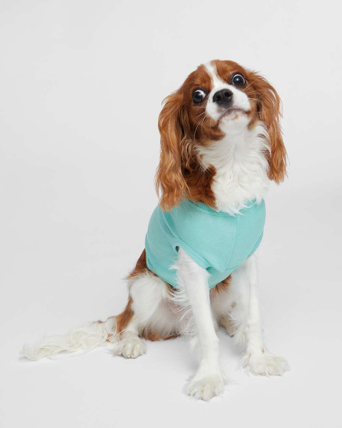 8-R-Non-Apparel EMB FTB-011 Farmtek Brands Doggie Tank 8-R-Non-Apparel EMB FTB-011 Farmtek Brands Doggie Tank