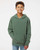 Pigment Alpine Green Pigment Alpine Green