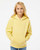 Pigment Yellow Pigment Yellow