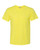 Neon Yellow Neon Yellow